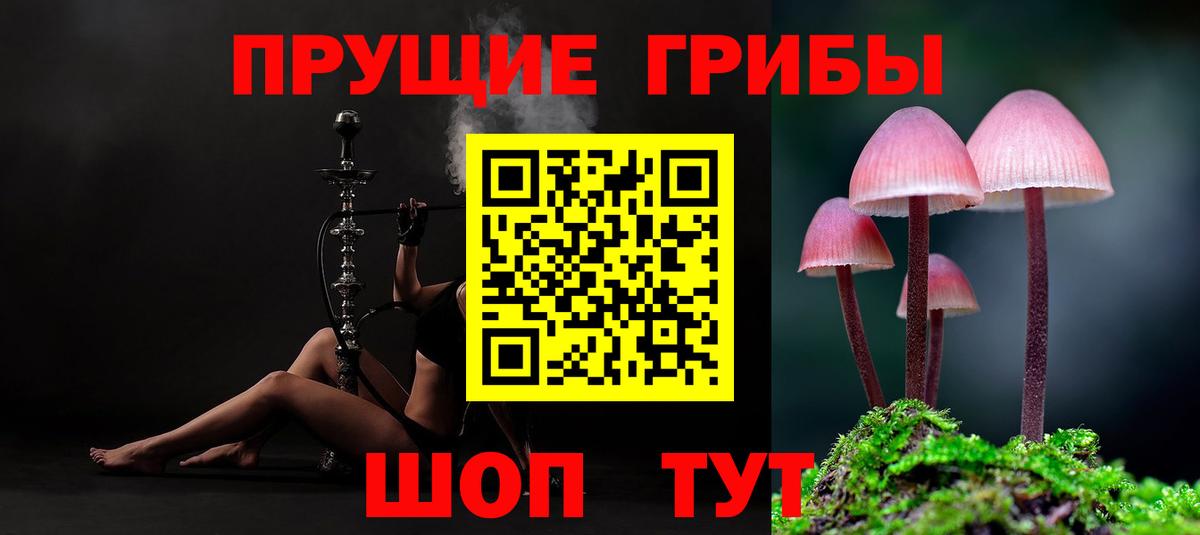 Псилоцибиновые грибы ЛСД Пыть-Ях